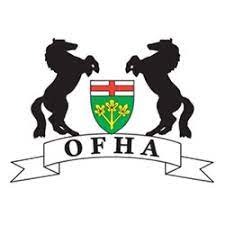 Ontario Friesian Horse Association